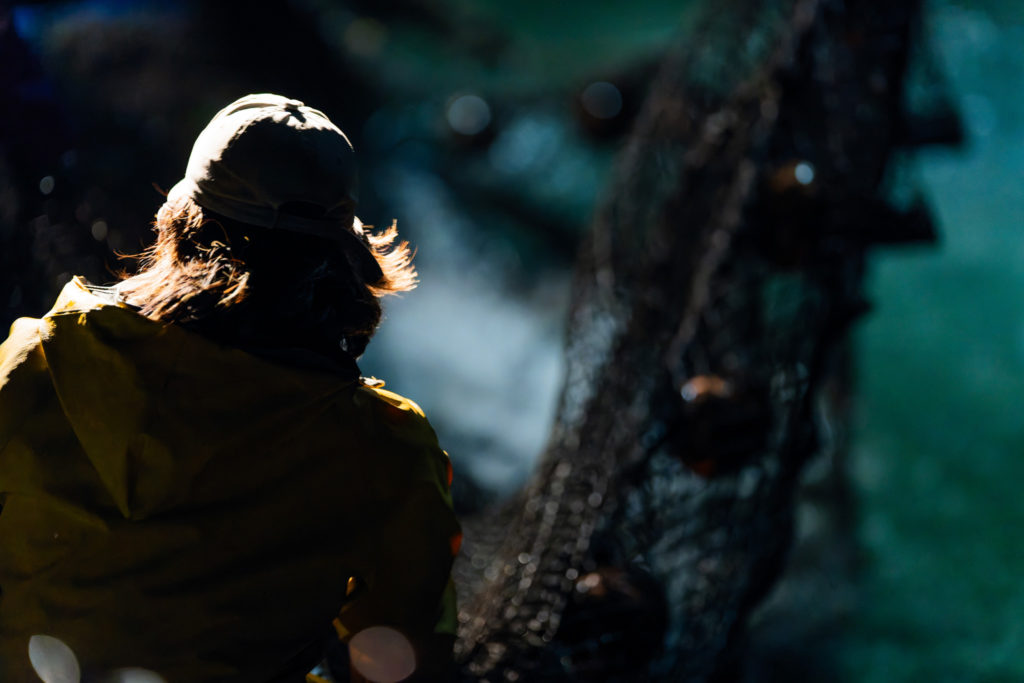 北海道標津町 鮭漁の一コマ