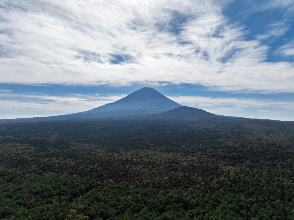 富士山麓に広がる青木ヶ原樹海を上空から捉えた全体景観